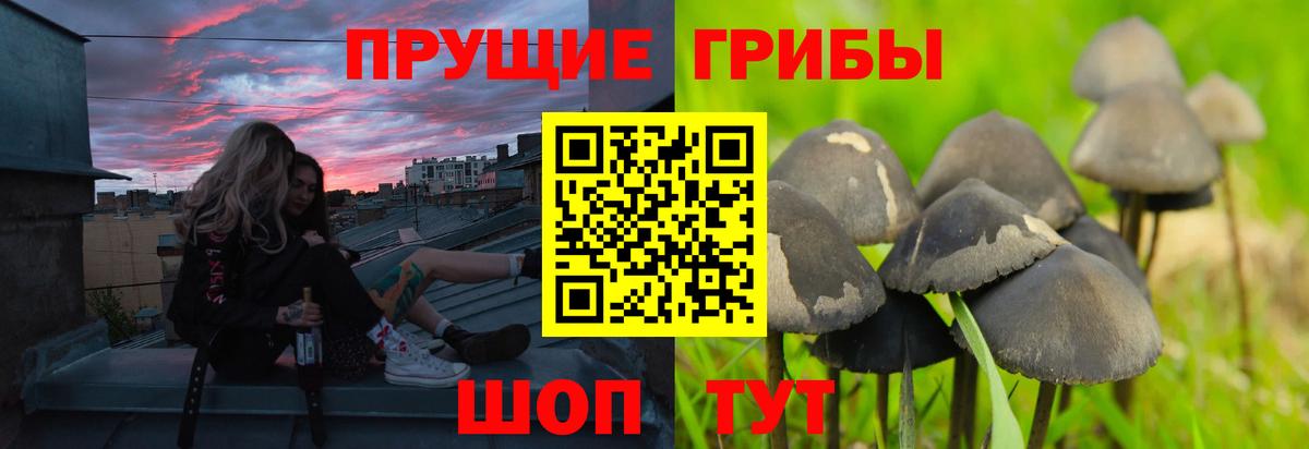 Галлюциногенные грибы прущие грибы  дарнет шоп  Псилоцибиновые грибы MAGIC MUSHROOMS  Кропоткин  Вход с VPN 